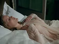 Mùi ngọt của Hoa hồng