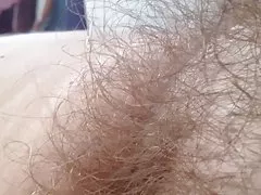 Đóng của cô bush lông mềm.