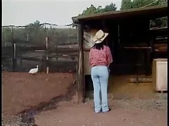 Tình dục hậu môn