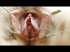 Pussies ca hát