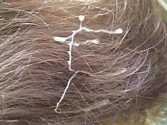 Bí mật bukkake train 003